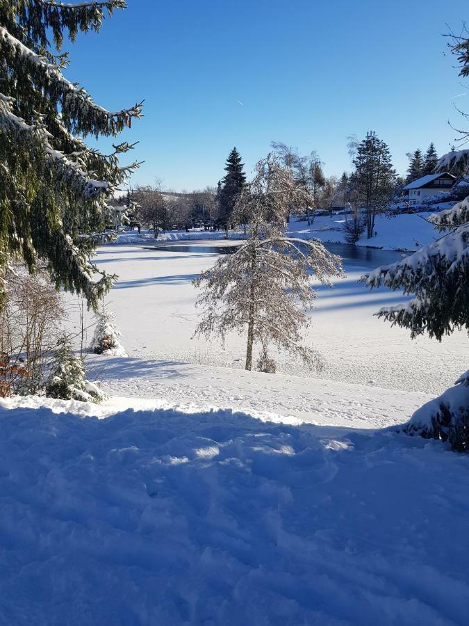 Jules Traum Im Schwarzwald Lejlighed Herrischried Eksteriør billede