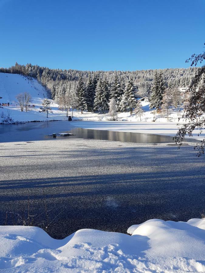 Jules Traum Im Schwarzwald Lejlighed Herrischried Eksteriør billede