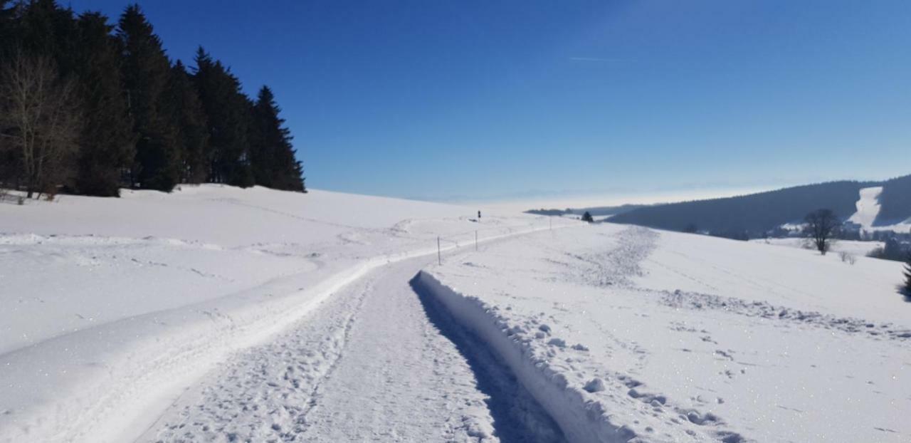Jules Traum Im Schwarzwald Lejlighed Herrischried Eksteriør billede