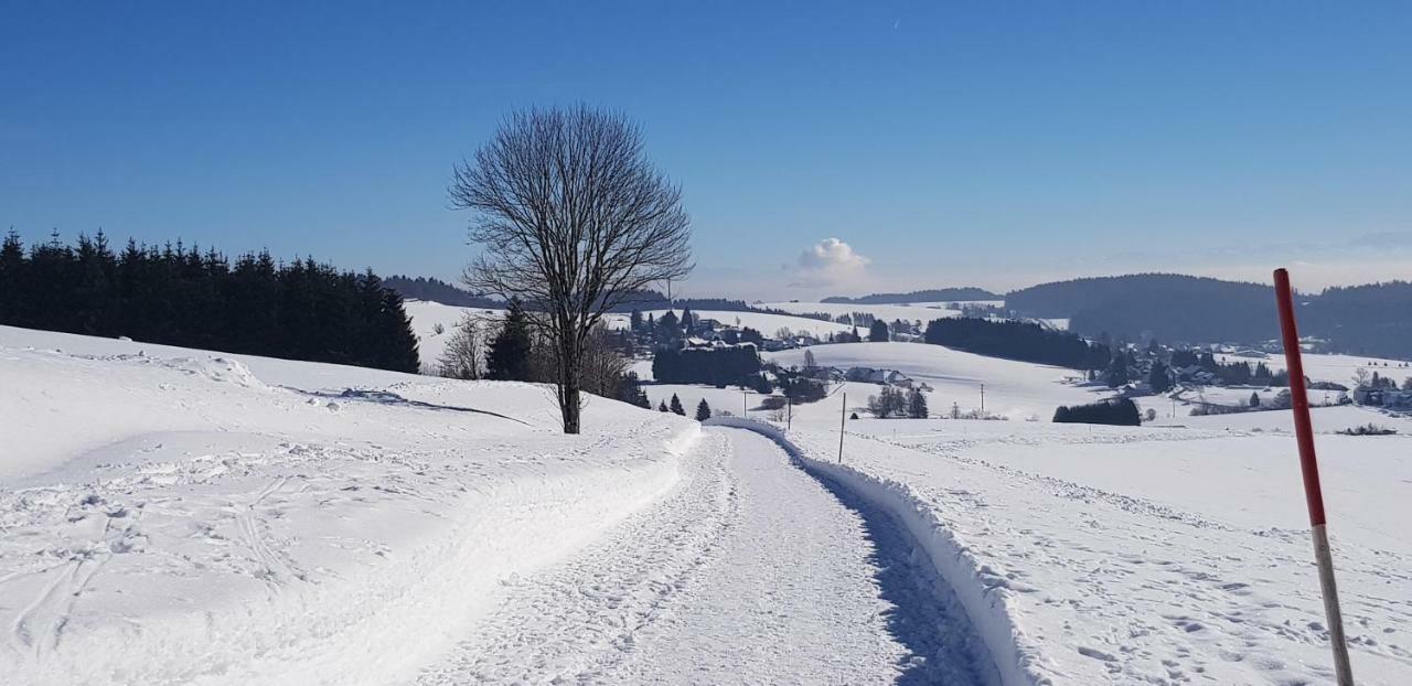 Jules Traum Im Schwarzwald Lejlighed Herrischried Eksteriør billede